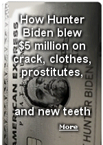 Prosecutors say Hunter Biden blasted through nearly $5 million in four years, including almost $700,000 ''to various women,'' and close to $200,000 on ''adult entertaininment'', rarely spending any money on his family, and all without paying his income taxes.